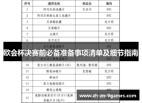 欧会杯决赛前必备准备事项清单及细节指南